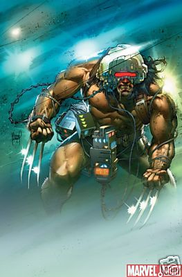 WOLVERINE WEAPON X #01 CVR B