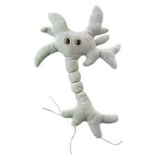 GIANTMICROBES- BRAIN CELL