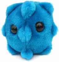 GIANTMICROBES- THE COMMON COLD