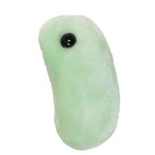 GIANTMICROBES- THE FLU