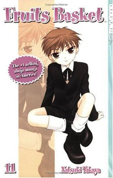 FRUITS BASKET GN VOL 11