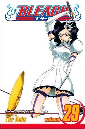 BLEACH TP 29