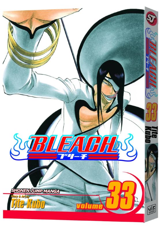 BLEACH TP 33