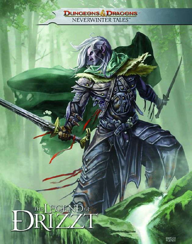 DUNGEONS & DRAGONS DRIZZT HARDCOVER 01 NEVERWINTER