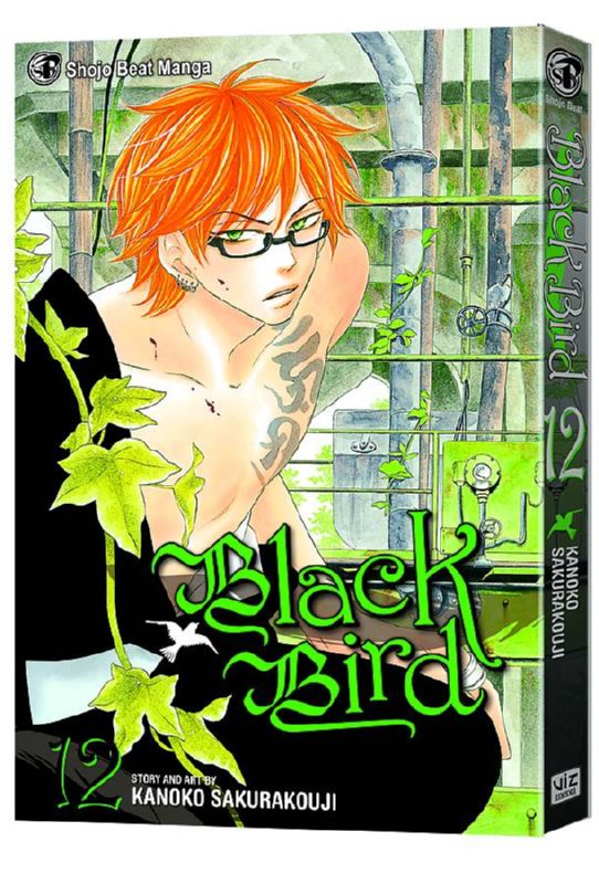 BLACK BIRD GN 12