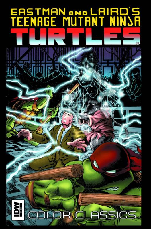 TEENAGE MUTANT NINJA TURTLES COLOR CLASSICS #9