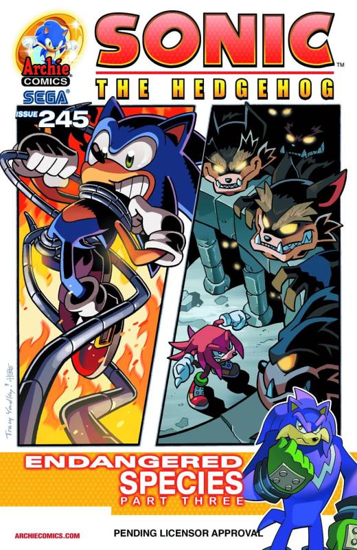 SONIC THE HEDGEHOG #245