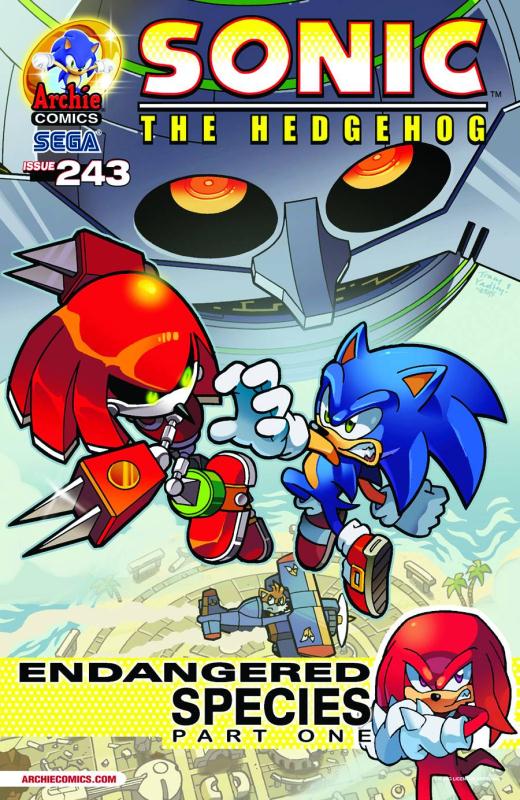 SONIC THE HEDGEHOG #243