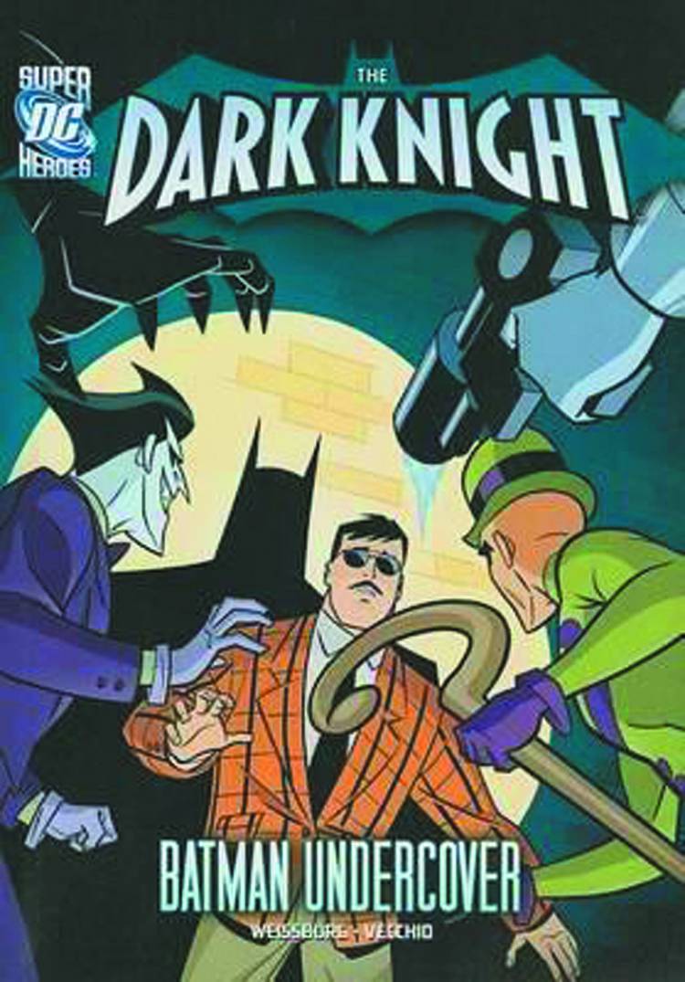 DC SUPER HEROES DARK KNIGHT YR TP BATMAN UNDERCOVER