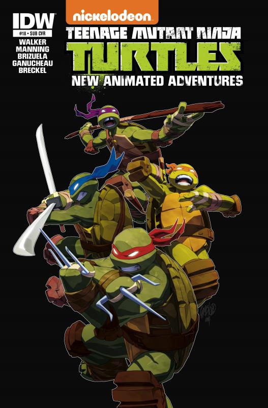 TMNT NEW ANIMATED ADVENTURES #18 SUBSCRIPTION VARIANT