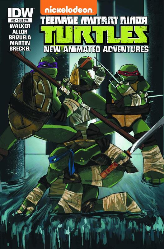 TMNT NEW ANIMATED ADVENTURES #17 SUBSCRIPTION VARIANT