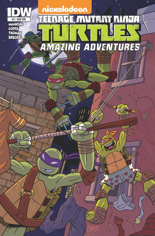 TMNT AMAZING ADVENTURES #3 SUBSCRIPTION VARIANT