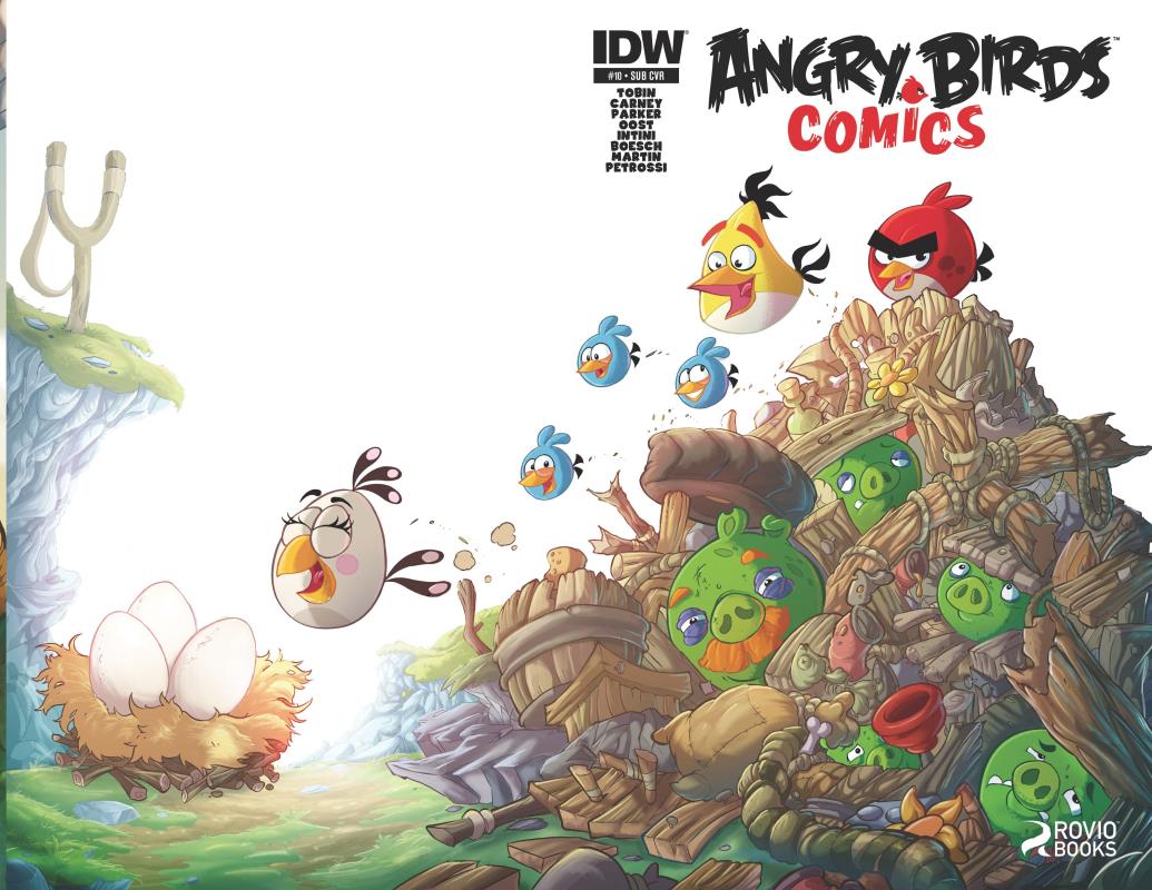 ANGRY BIRDS #10 SUBSCRIPTION VARIANT