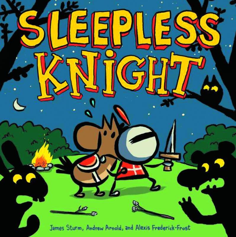 SLEEPLESS KNIGHT PICTURE BOOK HARDCOVER