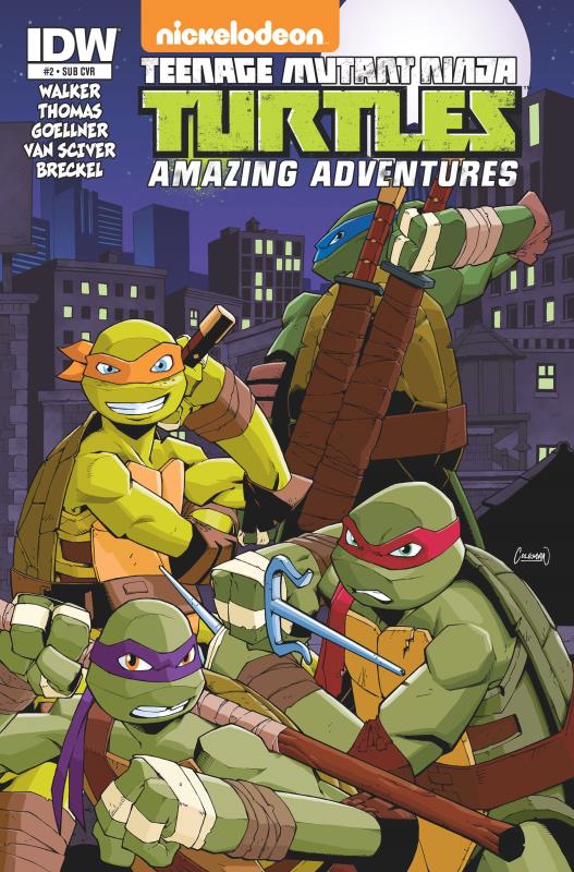 TMNT AMAZING ADVENTURES #2 SUBSCRIPTION VARIANT