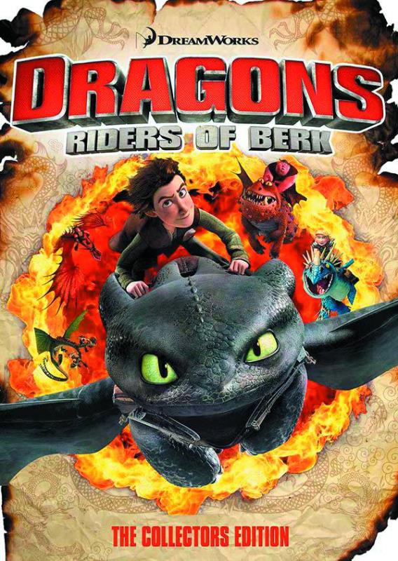 DRAGONS RIDERS OF BERK COLLECTION VOL 01