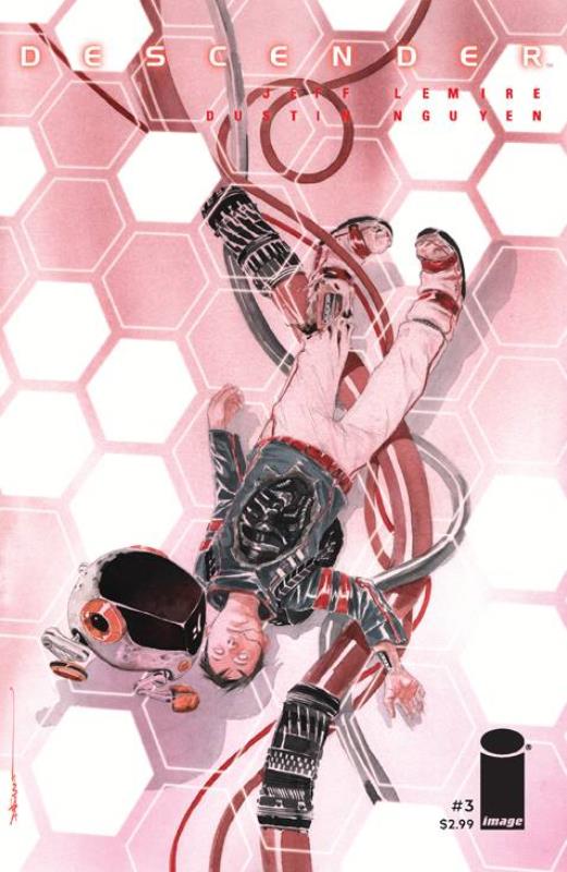 DESCENDER #3 (MR)