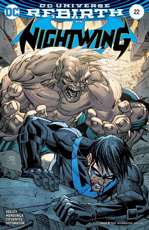 NIGHTWING #22 VARIANT ED