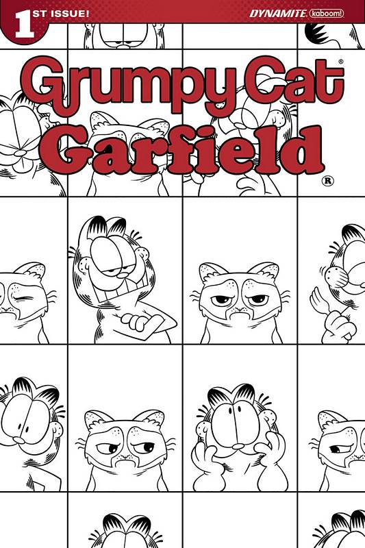 GRUMPY CAT GARFIELD #1 (OF 3) CVR G 1:10 HIRSCH VARIANT