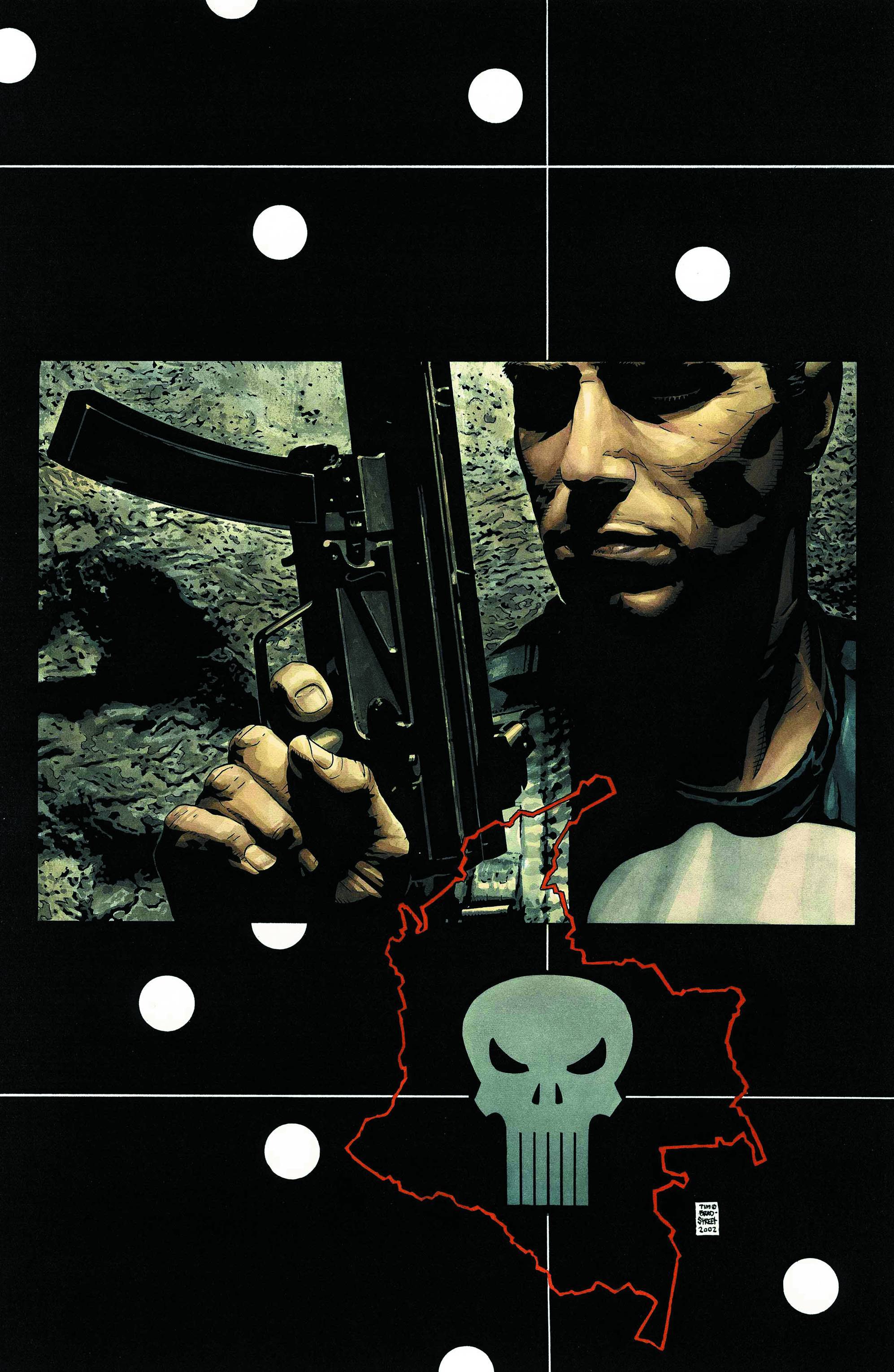 PUNISHER #14