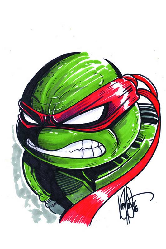 DF BATMAN TMNT #1 TURTLE SKETCH HAESER