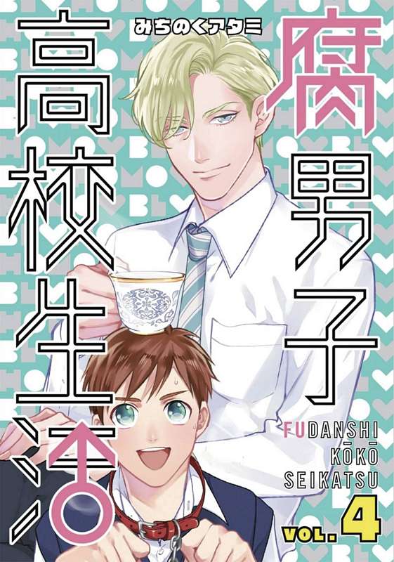 HIGH SCHOOL LIFE OF FUDANSHI GN 04 (MR)