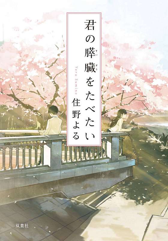 I WANT TO EAT YOUR PANCREAS LIGHT NOVEL SC (MR)