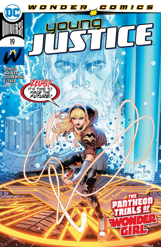 YOUNG JUSTICE #19 CVR A JOHN TIMMS