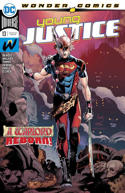 YOUNG JUSTICE #13