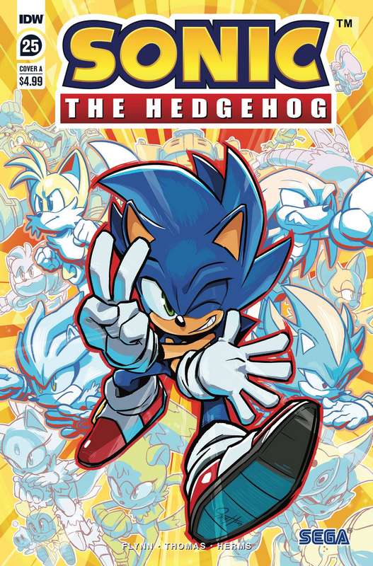 SONIC THE HEDGEHOG #25 CVR A HESSE (NOTE PRICE)