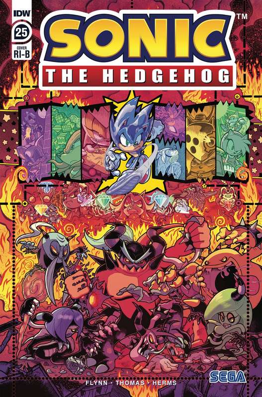 SONIC THE HEDGEHOG #25 1:25 GRAY & GRAHAM RATIO VARIANT