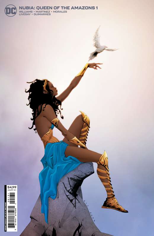 NUBIA QUEEN OF THE AMAZONS #1 (OF 4) CVR B JAE LEE CARD STOCK VARIANT