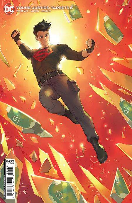 YOUNG JUSTICE TARGETS #5 (OF 6) CVR B MEGHAN HETRICK CARD STOCK VARIANT