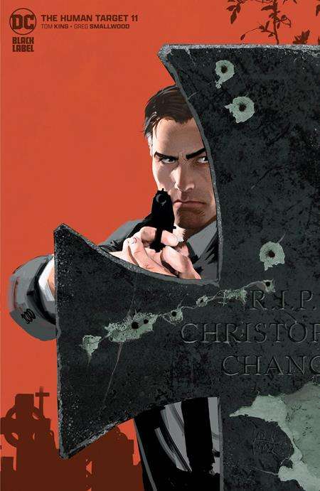 HUMAN TARGET #11 (OF 12) CVR B MIKEL JANIN VARIANT (MR)