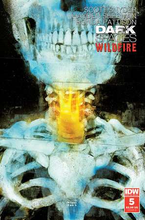 Dark Spaces: Wildfire #5 Variant D (Simmonds)