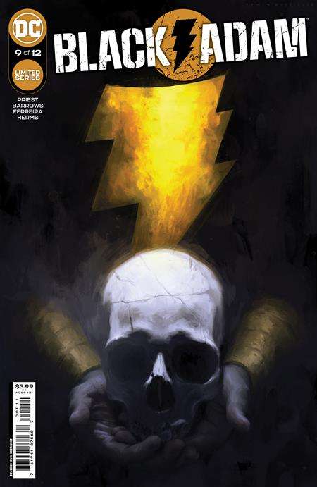 BLACK ADAM #9 (OF 12) CVR A IRVIN RODRIGUEZ